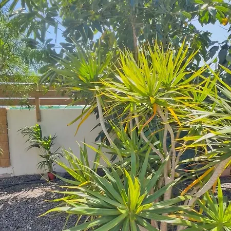 Casa Cesar Lajares